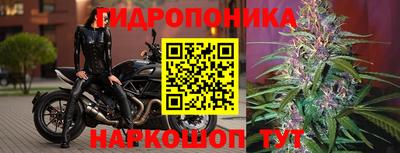 стафф Михайловск